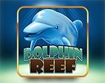 Dolphin Reef
